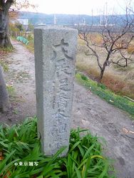 hashimoto-houdai03.JPG