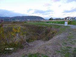 hashimoto-houdai05.JPG
