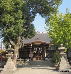 higashino k shouji07.jpg