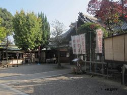 higashino k shouji08.jpg