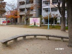 kyobashi scandal07.JPG