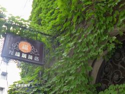 osaka aoyama-b03.JPG