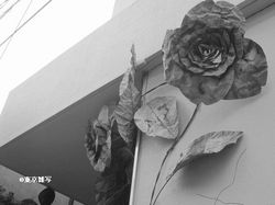 osaka cinen03.JPG