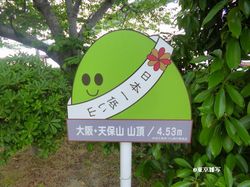 tempozan04.JPG